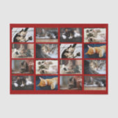 Papier Mousseline Chats mignons et chatons Modèle photo sur rouge fo (Recto)