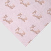 Papier Mousseline Chaussons Ballerina Rose Party (Détail)