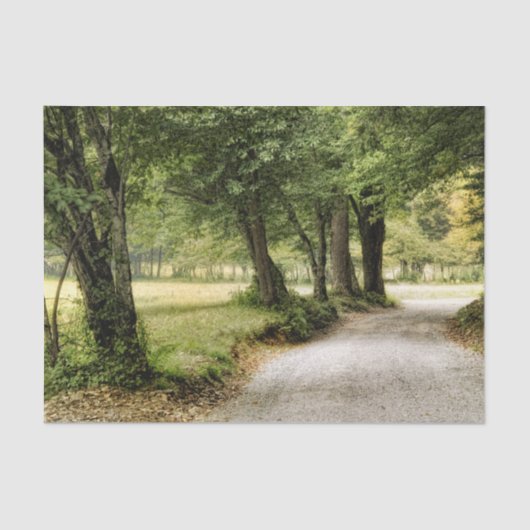 Papier Mousseline Chemin dans le pays (Recto)