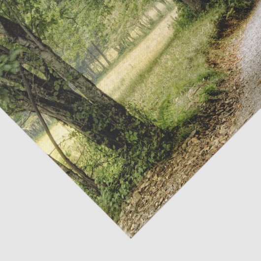 Papier Mousseline Chemin dans le pays (Détail)