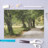 Papier Mousseline Chemin dans le pays (Artisanat)