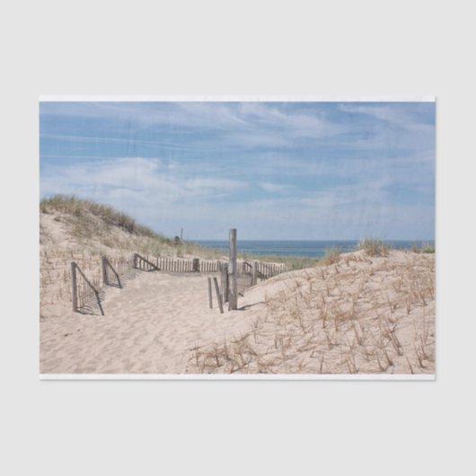 Papier Mousseline Chemin dans le sable à la plage (Recto)