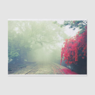 Papier Mousseline Chemins de fer Misty Photo Pittoresque