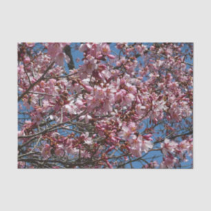 Papier Mousseline Cherry Blossoms et Blue Sky Spring Floral