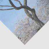 Papier Mousseline Cherry Blossoms et le monument de Washington à DC (Détail)