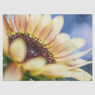 Papier Mousseline Cherry Rose Sunflower