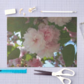 Papier Mousseline Cherry Tree I Spring Floral (Artisanat)
