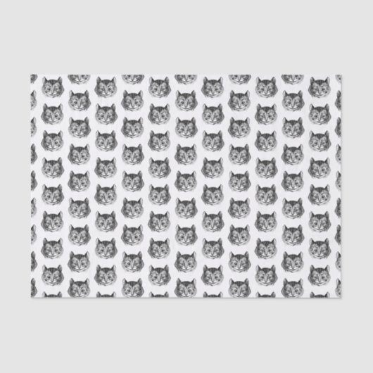 Papier Mousseline Cheshire Cat Alice au pays des merveilles (Recto)