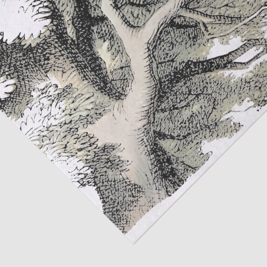 Papier Mousseline Cheshire Chat Alice Wonderland Classic (Détail)