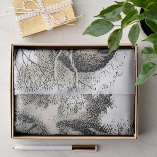 Papier Mousseline Cheshire Chat Alice Wonderland Classic (Cadeau)