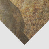 Papier Mousseline Cheval (Détail)