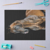 Papier Mousseline Cheval Akhal-Teke (Artisanat)