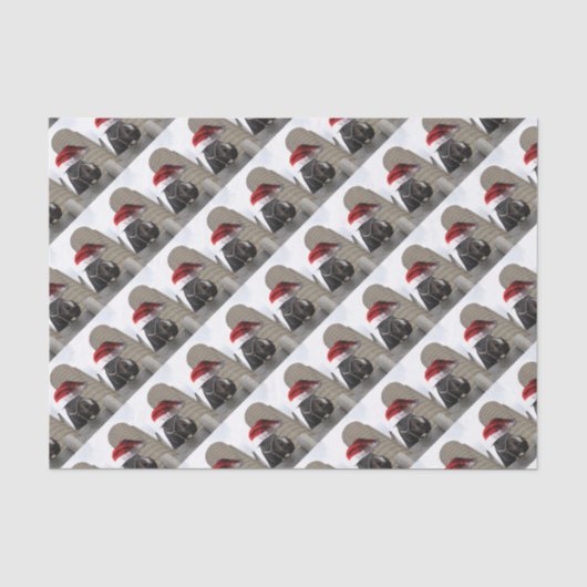 Papier Mousseline Cheval avec Santa Hat (Recto)