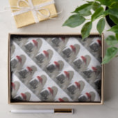 Papier Mousseline Cheval avec Santa Hat (Cadeau)