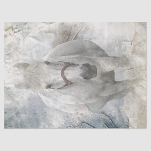 Papier Mousseline Cheval blanc (Recto)