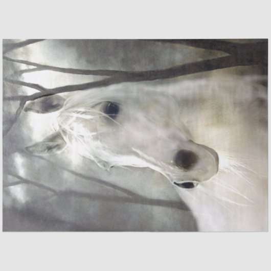 Papier Mousseline Cheval blanc (Recto)