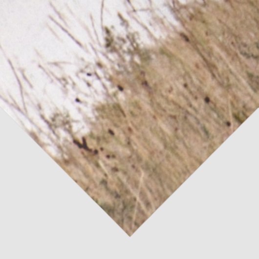 Papier Mousseline cheval blanc (Détail)