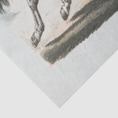 Papier Mousseline Cheval Blanc Coureur (Détail)