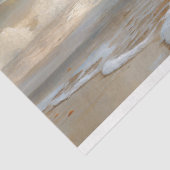 Papier Mousseline Cheval Blanc courir sur la page Découpage de plage (Détail)