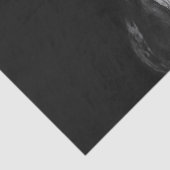 Papier Mousseline Cheval blanc noir moderne (Détail)