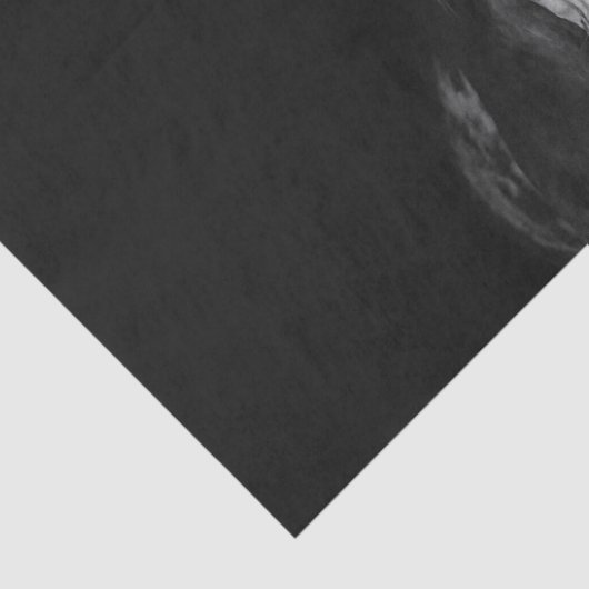 Papier Mousseline Cheval blanc noir moderne (Détail)