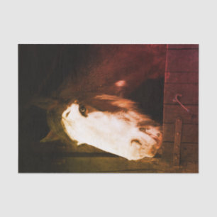 Papier Mousseline Cheval Brown à la ferme Juste une fille qui aime l