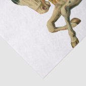 Papier Mousseline Cheval Cirque Acrobat Dancer Carousel Chevaux Dans (Détail)