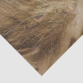 Papier Mousseline Cheval courir sur la plage Peinture Découpage (Détail)