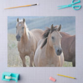 Papier Mousseline Cheval de couleur (Artisanat)