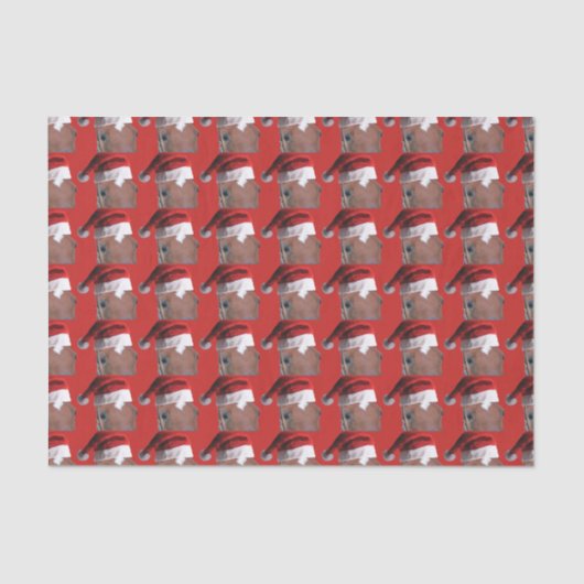 Papier Mousseline Cheval de Noël du Père Noël (Recto)