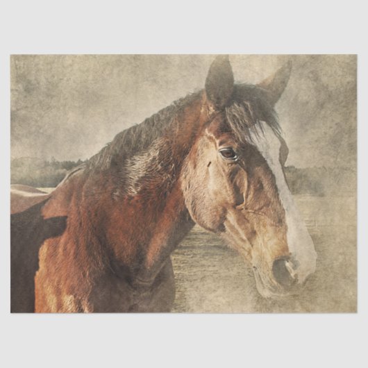 Papier Mousseline Cheval en poussière (Recto)