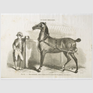 Papier Mousseline Cheval Ephemera Découpage Soldat français Vintage