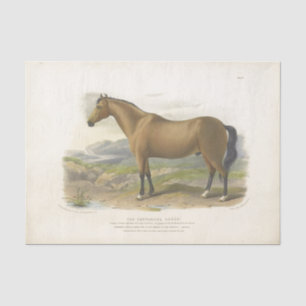 Papier Mousseline Cheval Ephemera Decoupage Vintage Brown
