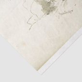 Papier Mousseline Cheval Ephemera Découpage Vintage Français Stable (Détail)