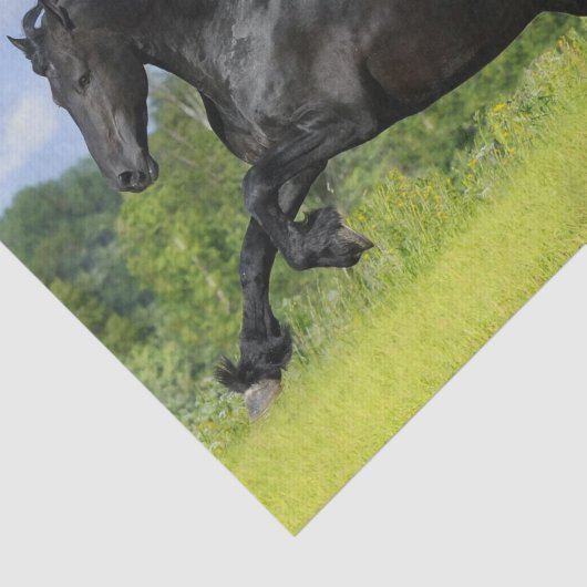 Papier Mousseline Cheval friésien (Détail)