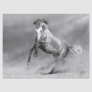 Papier Mousseline Cheval gris de la pomme andalouse