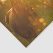 Papier Mousseline Cheval incroyable baigné dans la lumière du soleil (Détail)