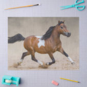 Papier Mousseline Cheval Miniature Américain Skewbald Courant Dans L (Artisanat)
