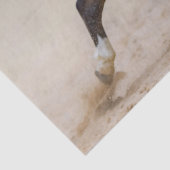 Papier Mousseline Cheval Miniature Américain Skewbald Courant Dans L (Détail)