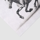 Papier Mousseline Cheval Mustang sauvage Découpage noir et blanc (Détail)
