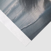 Papier Mousseline Cheval noir (Détail)