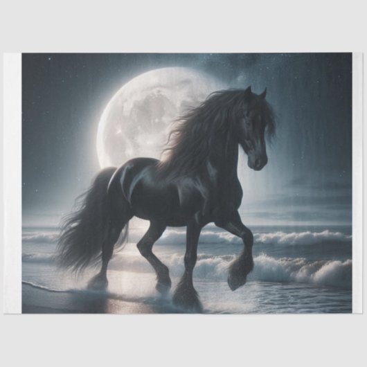 Papier Mousseline Cheval noir (Recto)