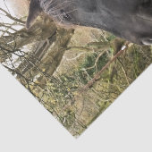 PAPIER MOUSSELINE CHEVAL NOIR (Détail)