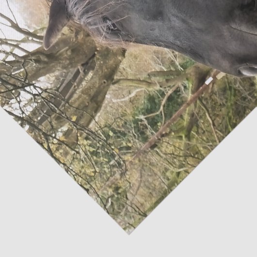 PAPIER MOUSSELINE CHEVAL NOIR (Détail)