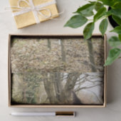 PAPIER MOUSSELINE CHEVAL NOIR (Cadeau)