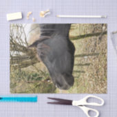 PAPIER MOUSSELINE CHEVAL NOIR (Artisanat)