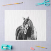 Papier Mousseline Cheval sauvage du Missouri (Artisanat)