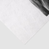 Papier Mousseline Cheval sauvage du Missouri (Détail)