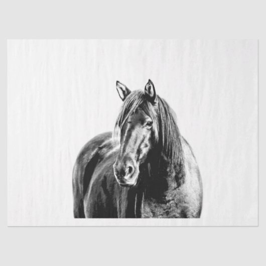 Papier Mousseline Cheval sauvage du Missouri (Recto)