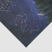 Papier Mousseline Chevaliers d'été (Détail)